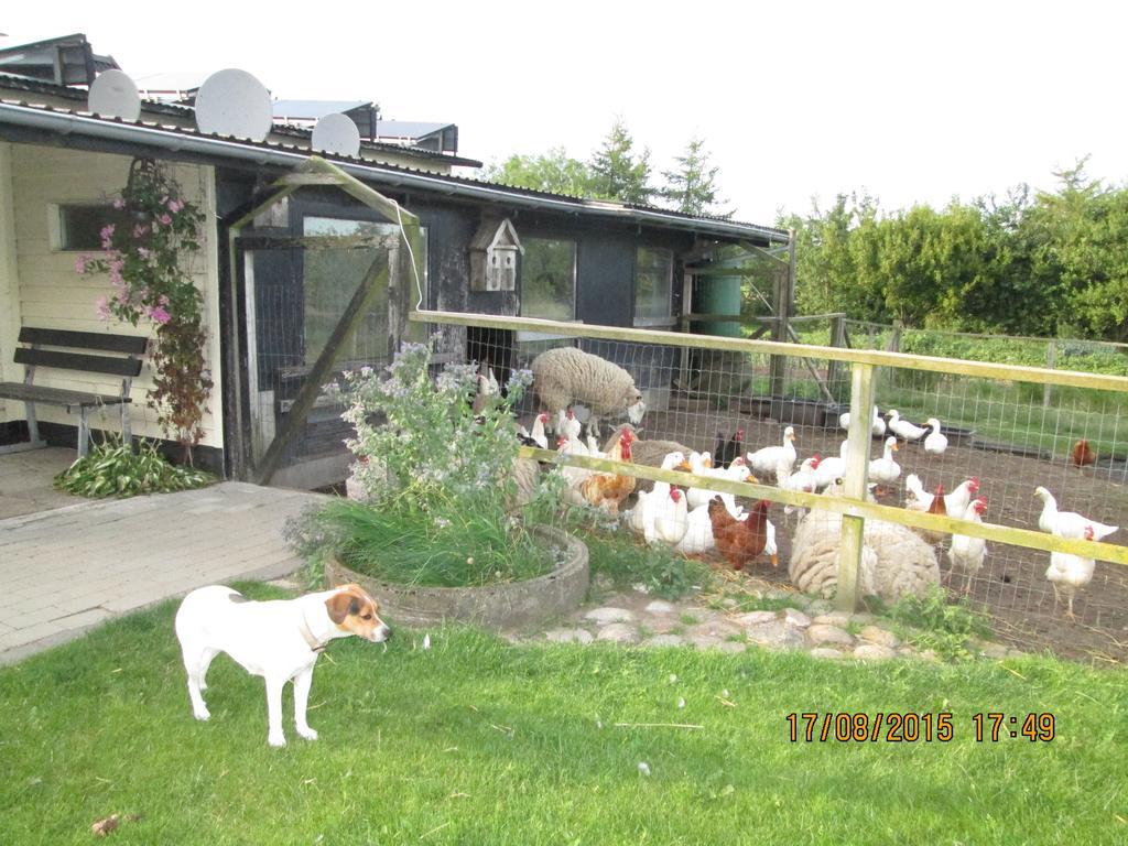 Bakkegarden Homestay Spottrup ภายนอก รูปภาพ